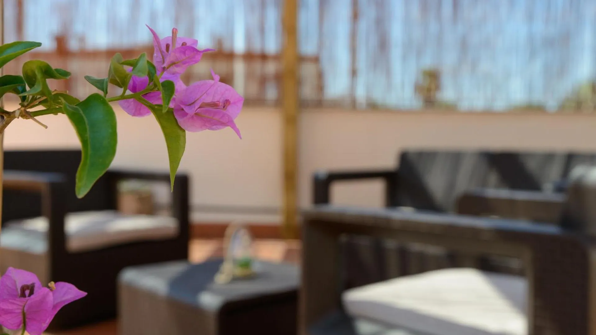 Lägenhet Empuriabrava Apartaments - Nº2